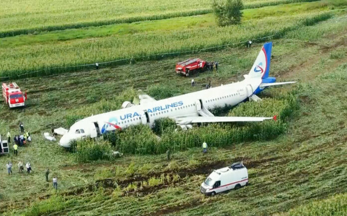 In this video grab provided by the RU-RTR Russian television, a Russian Ural Airlines' A321 plane is seen after an emergency landing in a cornfield near Ramenskoye, outside Moscow, Russia, Thursday, Aug. 15, 2019. The Russian pilot was being hailed as a hero Thursday for safely landing his passenger jet in a corn field after it collided with a flock of gulls seconds after takeoff, causing both engines to malfunction. Photo: RU-RTR Russian Television via AP