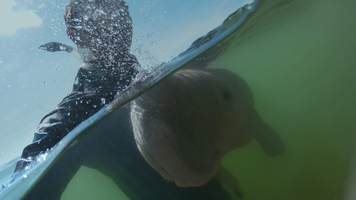 Photo: Thai Whales / Courtesy