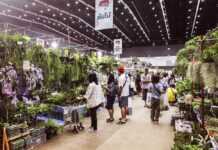 Not Just Furniture: ‘Home and Garden Fair’ Seeks to Inspire