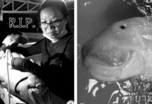 Good Night, Sweet Prince: Jamil the Dugong Dies Photo: Department of Marine and Coastal Resources / Facebook
