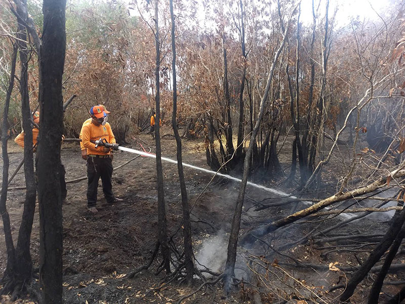 A forest ranger hoses a fire on Aug. 15, 2019 at Pa Phru Kuan Kreng. 