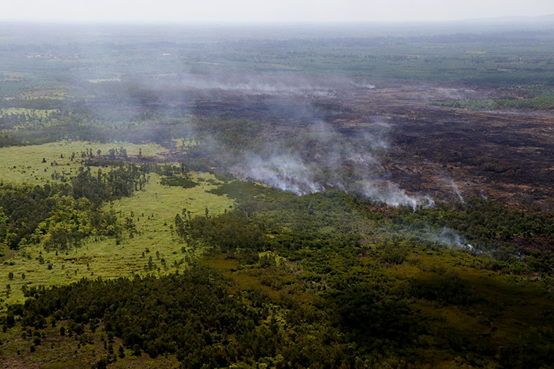 Forest fires on Aug. 12, 2019 at Pa Phru Kuan Kreng.