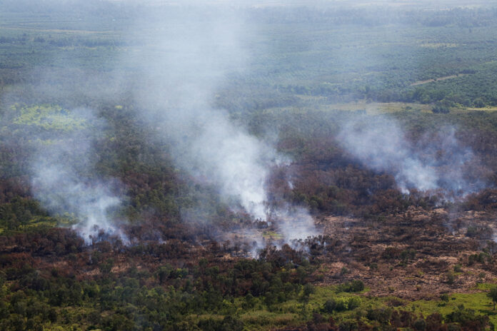 Forest fires on Aug. 12, 2019 at Pa Phru Kuan Kreng.