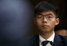Hong Kong Activists Appeal to US Lawmakers to Help Movement