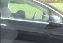 Tesla Driver Seen Asleep in Moving Car