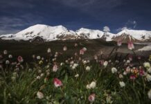 NW China Gets Warmer, Wetter as Climate Change Hits