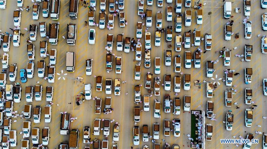 Vehicles loaded with dates gather at a seasonal date market in the city of Buraydah, north of Riyadh, Saudi Arabia, on Aug. 29, 2019. Photo: CIC/Handout via Xinhua
