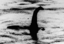 DNA Hints the Loch Ness ‘Monster’ Might be Giant Eel