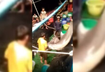 Two Fishermen Charged for Killing Dolphins for Jerky Screenshot from a video showing dolphins being brought up on board. Image: Anuwat Fuangthongdeng / Facebook