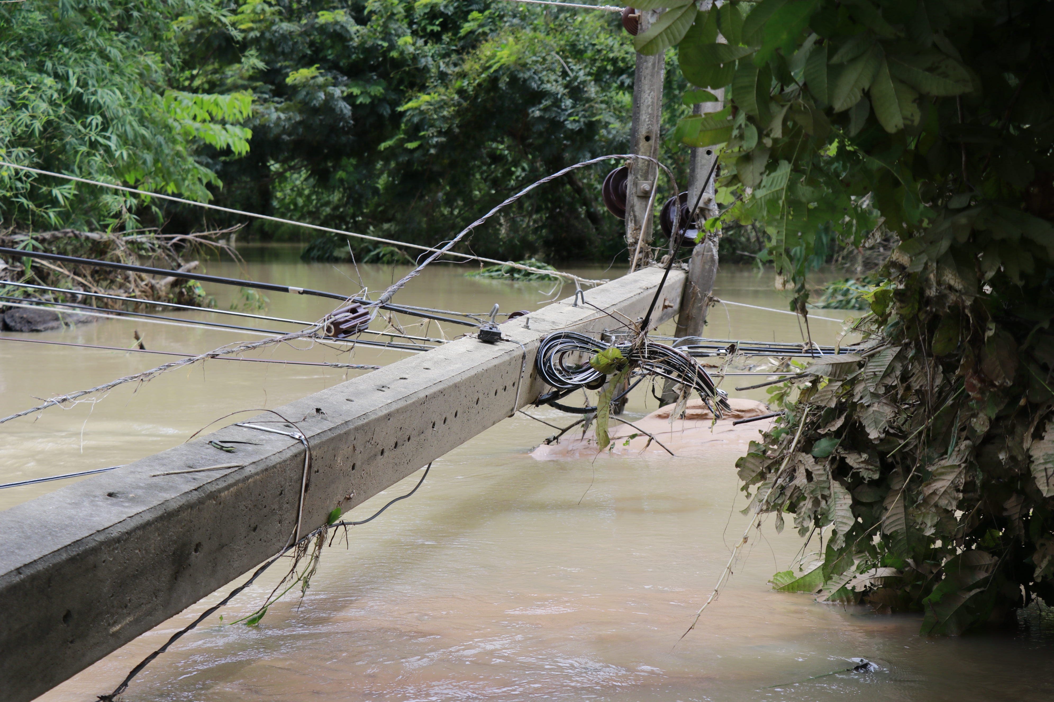 A utility pole in Amnat Charoen collapsed by strong currents on Sept. 2.