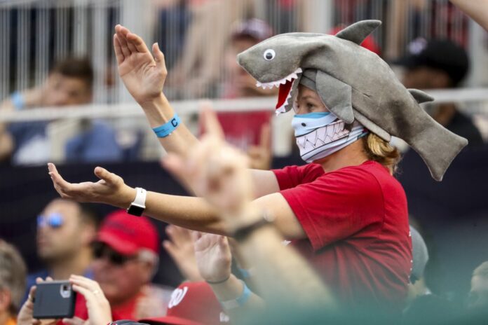 In this Sept. 29, 2019, file photo, a fan wears a shark hat as Washington Nationals' Gerardo Parra comes up to bat in the eighth inning of a baseball game against the Cleveland Indians at Nationals Park in Washington. (AP Photo/Andrew Harnik, File)