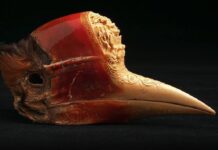 Rare Birds, Animals Under Threat From Amulet Craze, Campaigners Warn