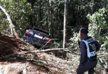 Minister Floats Mandatory GPS for All Private Cars