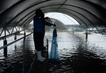 CP Foods Tops the Seafood Industry in Supply Chain Stewardship and Human Rights