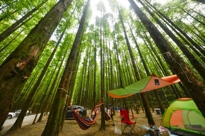 Tourists relax in a man-made forest at the Shanwangping Karst National Eco Park in southwest China's Chongqing, Aug. 21, 2019. (Xinhua/Liu Chan)