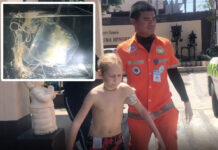 Russian Boy Survives Box Jellyfish Sting on Koh Samui An emergency responder leads a 10-year-old Russian boy stung by a box jellyfish to an ambulance Oct. 30, 2019 on Koh Samui. Insert: the box jellyfish that stung him.