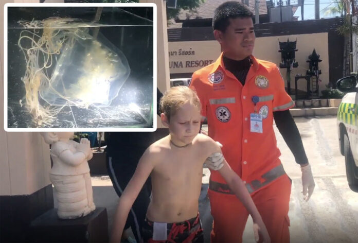 An emergency responder leads a 10-year-old Russian boy stung by a box jellyfish to an ambulance Oct. 30, 2019 on Koh Samui. Insert: the box jellyfish that stung him.