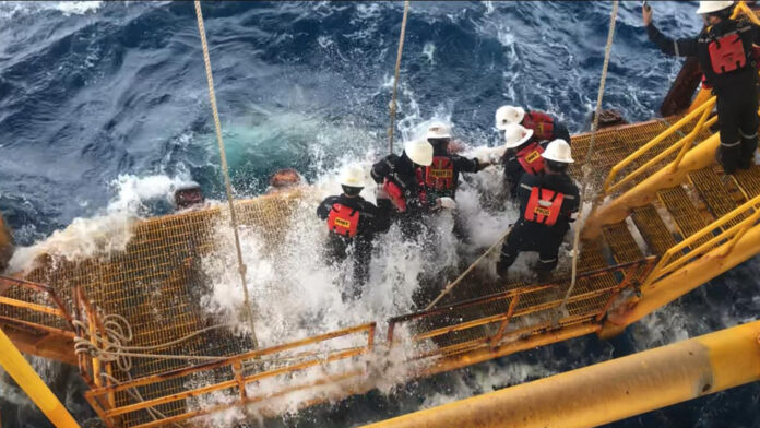 Crew on the rig in Erawan gas field attempting to free a whale shark from rope trapping its tail on Oct. 19, 2019. Photo: Nat Panupong Taps / Facebook Crew on the rig in Erawan gas field attempting to free a whale shark from rope trapping its tail on Oct. 19, 2019. Photo: Nat Panupong Taps / Facebook
