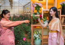 China Prepares Valentines’ Day Flowers to Export to Thailand Combination photo taken on Feb. 15 (L) and Feb. 16, 2019 shows a flower grower in southwest China's Yunnan Province "sends" a flower to a woman in Bangkok, Thailand. Photo: Hu Chao, Zhang Keren / Xinhua
