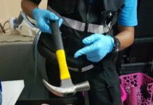 Son is the Only Suspect in Woman Dismemberment Case, Cops Say Police show a hammer they believe to be the murder weapon.