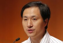 1 Year Later, Mystery Surrounds China’s Gene-Edited Babies