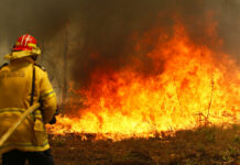 Australia State Declares Fire Emergency After 150 Homes Lost Firefighters work to contain a bushfire along Old Bar road in Old Bar, Saturday, Nov. 9, 2019. Wildfires razing Australia's drought-stricken east coast have left two people dead and several missing, more than 30 injured and over 150 homes destroyed, officials said Saturday. Photo: Darren Pateman / AAP Image via AP