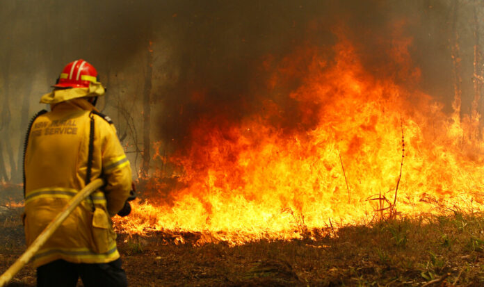 Firefighters work to contain a bushfire along Old Bar road in Old Bar, Saturday, Nov. 9, 2019. Wildfires razing Australia's drought-stricken east coast have left two people dead and several missing, more than 30 injured and over 150 homes destroyed, officials said Saturday. Photo: Darren Pateman / AAP Image via AP