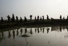 Myanmar Accused at UN Court of Genocide Against Rohingya -FILE- In this Tuesday, Sept. 5, 2017, file photo members of Myanmar's Rohingya ethnic minority walk through rice fields after crossing the border into Bangladesh near Cox's Bazar's Teknaf area. Gambia has filed a case at the United Nations' highest court in The Hague, Netherlands, Monday, Nov. 11, 2019, accusing Myanmar of genocide in its campaign against the Rohingya Muslim minority. A statement released Monday by lawyers for Gambia says the case also asks the International Court of Justice to order measures "to stop Myanmar's genocidal conduct immediately." Photo: Bernat Armangue / AP File