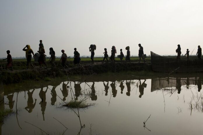 -FILE- In this Tuesday, Sept. 5, 2017, file photo members of Myanmar's Rohingya ethnic minority walk through rice fields after crossing the border into Bangladesh near Cox's Bazar's Teknaf area. Gambia has filed a case at the United Nations' highest court in The Hague, Netherlands, Monday, Nov. 11, 2019, accusing Myanmar of genocide in its campaign against the Rohingya Muslim minority. A statement released Monday by lawyers for Gambia says the case also asks the International Court of Justice to order measures 