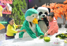 Thai-Cambodian Friendship, Fake Snow Lighten Up 2019 Loy Krathong Zookeepers wearing penguin and panda costume celebrate Loy Krathong festival at Chiang Mai Zoo’s snow dome on Nov. 8, 2019.