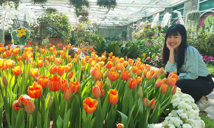 A woman poses with tulips Dec. 19 at Royal Park Rajapruek in Chiang Mai.