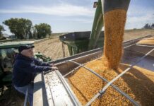 At Each End of Pacific, Skepticism Over China Farm Purchases