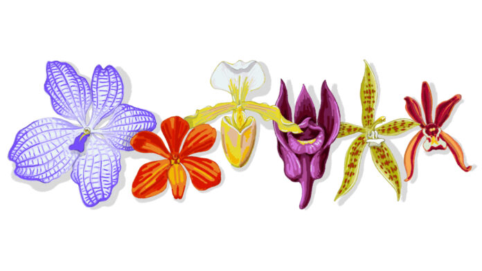 Google Doodle for the 97th birthday anniversary of Rapee Sagarik. Image: Google Google Doodle for the 97th birthday anniversary of Rapee Sagarik. Image: Google