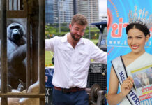 Khaosod English’s Top 6 Watched Videos of 2019 Bua Noi the gorilla, left, The Last Overland team leader Alex Bescoby, center, and Miss Universe Thailand 2019 Jennifer Paweensuda “Fahsai” Drouin, right.