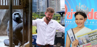 Khaosod English’s Top 6 Watched Videos of 2019 Bua Noi the gorilla, left, The Last Overland team leader Alex Bescoby, center, and Miss Universe Thailand 2019 Jennifer Paweensuda “Fahsai” Drouin, right.