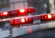 Japanese Policeman Arrested on Drunk Driving Charge