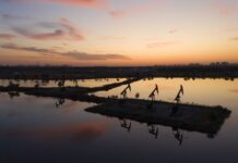 China Opens Oil, Gas Market to Private, Foreign Firms