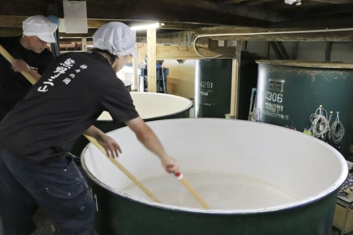 Sake making in Wakayama, western Japan, pictured in November 2018.