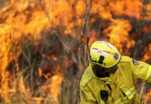 Hundreds Arrested for Starting Catastrophic Bushfires in Australia