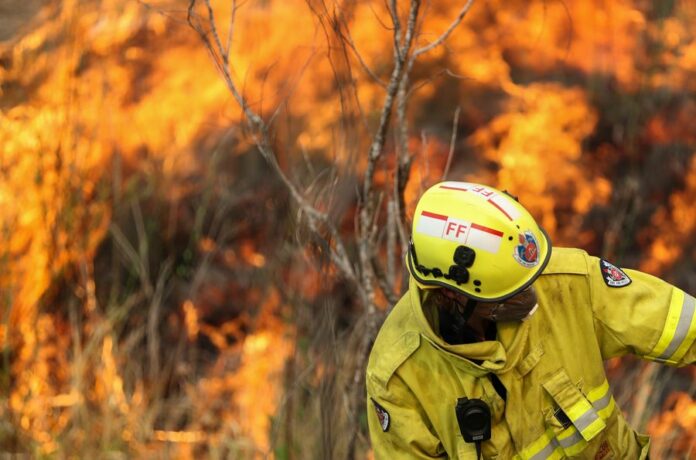 Photo taken on Nov. 11, 2019 shows a firefighter battles the flames during bushfires near Taree, New South Wales, Australia. (Xinhua/Bai Xuefei)