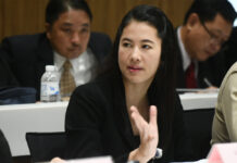 Activist to Sue Land Officials for Letting Parina Off the Hook Parina Kraikupt during a House committee meeting on Jan. 22, 2020.