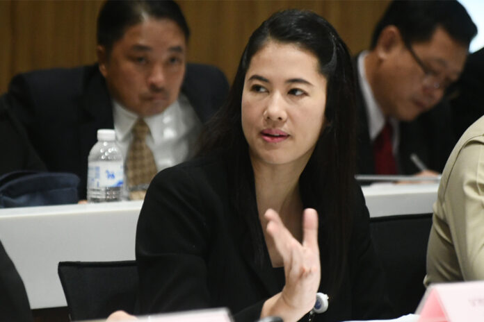 Parina Kraikupt during a House committee meeting on Jan. 22, 2020.