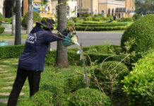 Bangkok’s Salty Water Crisis Hits Government House ‘Lucky Trees’ A gardener at the Government House waters plants with specially-treated water on Jan. 17, 2020.