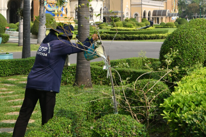 A gardener at the Government House waters plants with specially-treated water on Jan. 17, 2020. A gardener at the Government House waters plants with specially-treated water on Jan. 17, 2020.