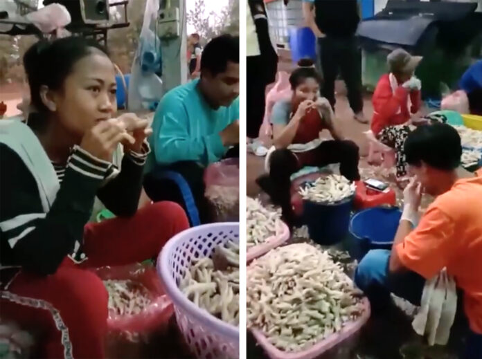 Workers gnaw the bones from chicken feet in a video taken at Nonglak Payakprom's factory Jan. 23, 2020 in Nong Khai.