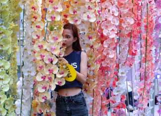Take a Break from PM2.5 at Bangkok Design Week 2020 (Photos) "Everlasting Forest by GC" exhibition in front of the Grand Postal Building.