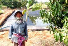 Here’s 5 Green Tech That Could Help Lift Thai Farmers Out of Poverty