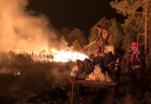Fire Destroyed Thousands of Rai of Forest at Phu Kradueng Park rangers extinguish wildfire at Phu Kradueng National Park on Feb. 16, 2020. Photo: Department of National Parks, Wildlife and Plant Conservation / Facebook