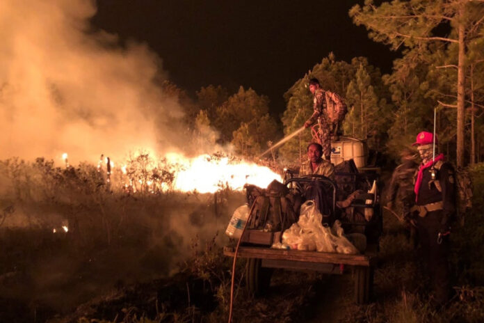 Park rangers extinguish wildfire at Phu Kradueng National Park on Feb. 16, 2020. Photo: Department of National Parks, Wildlife and Plant Conservation / Facebook