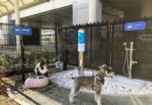 Osaka Airport to Open Toilet for Dogs